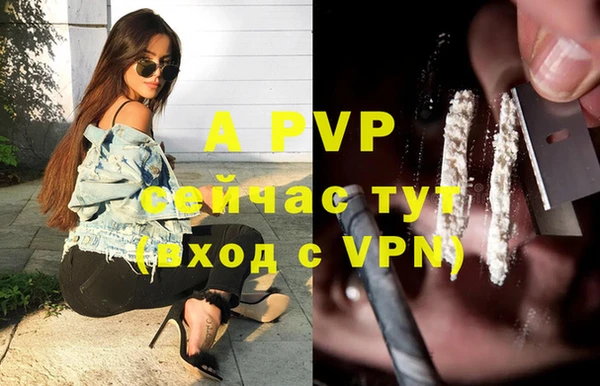 a pvp Аркадак