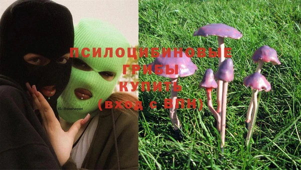 прущая мука Покров