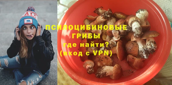 a pvp Аркадак