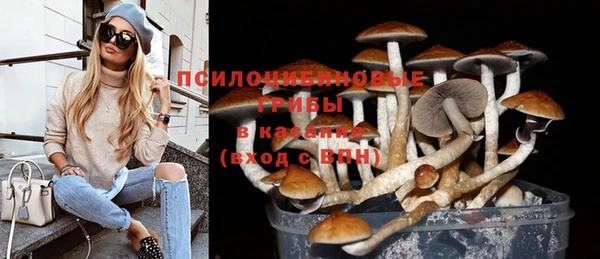 первитин Армянск