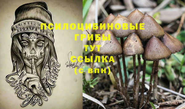 первитин Армянск