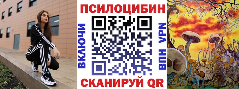 Псилоцибиновые грибы GOLDEN TEACHER  где купить наркоту  Новый Оскол 