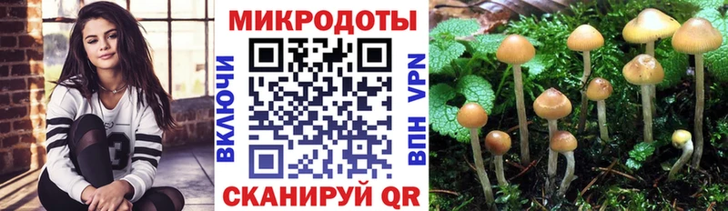 Псилоцибиновые грибы GOLDEN TEACHER Новый Оскол